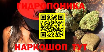 apvp Пугачёв