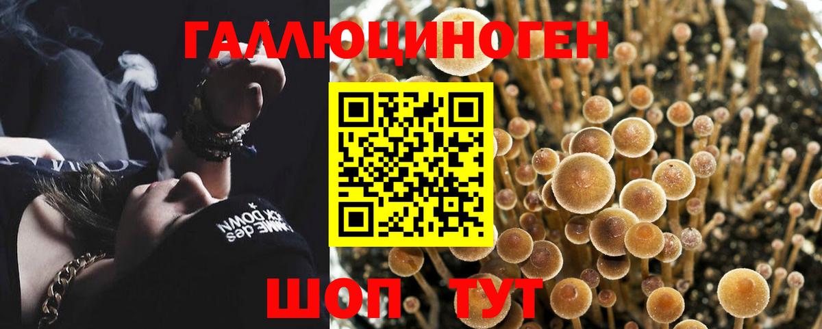 Симферополь  Псилоцибиновые грибы GOLDEN TEACHER  Вход с VPN 
